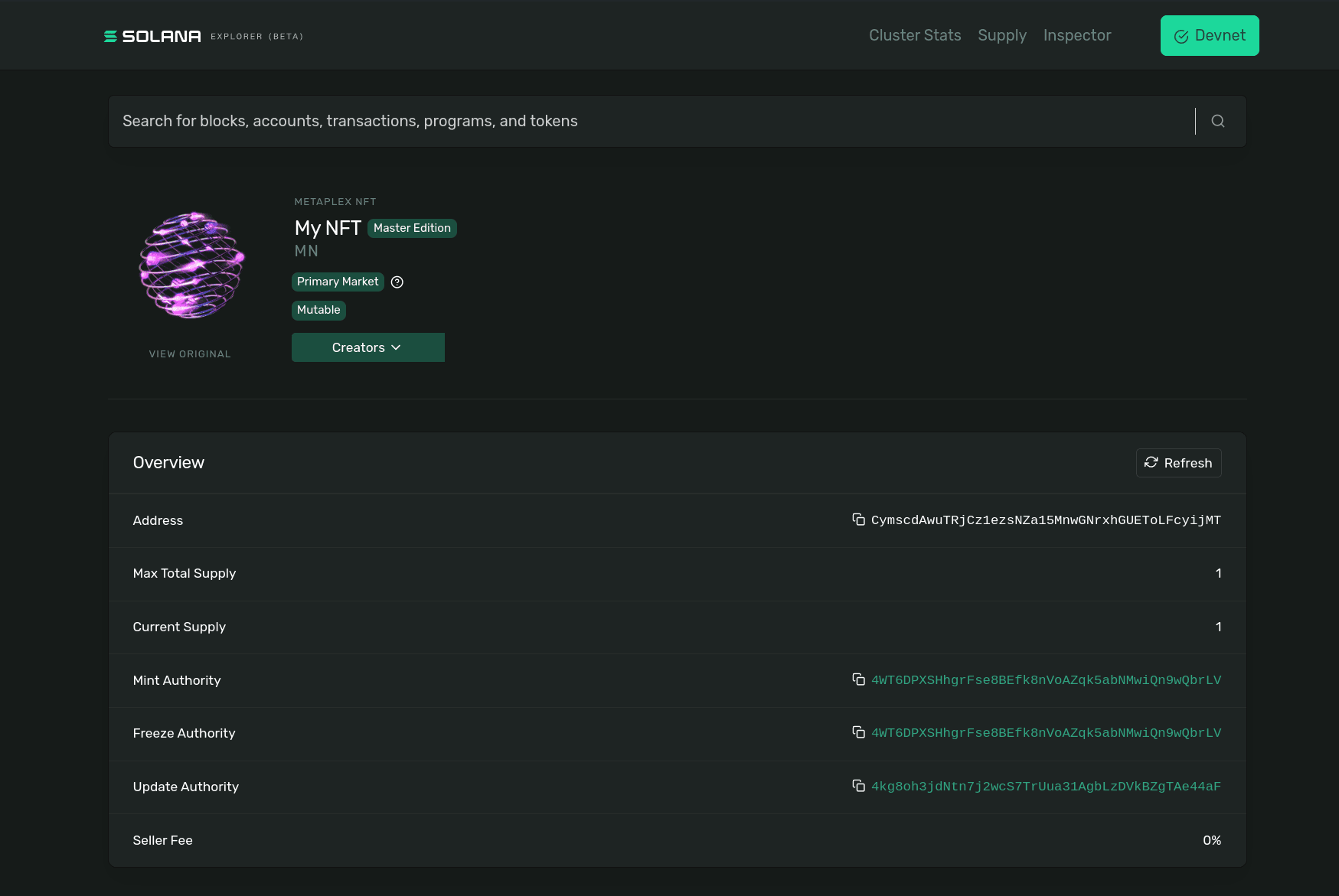 Solana Explorer with details about created NFT