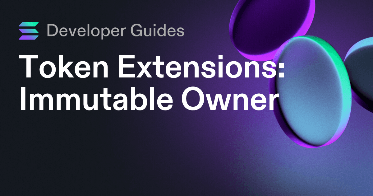 How to use the Immutable Owner extension